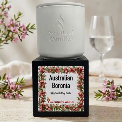 Scented Soy Candle in white container with Australian Boronia label, showcasing Australian floral heritage.