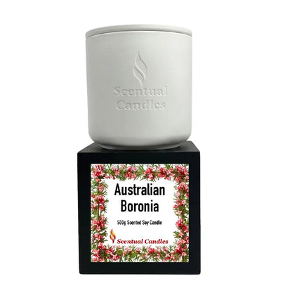 Scented Soy Candle in white container with Australian Boronia label, showcasing Australian floral heritage.