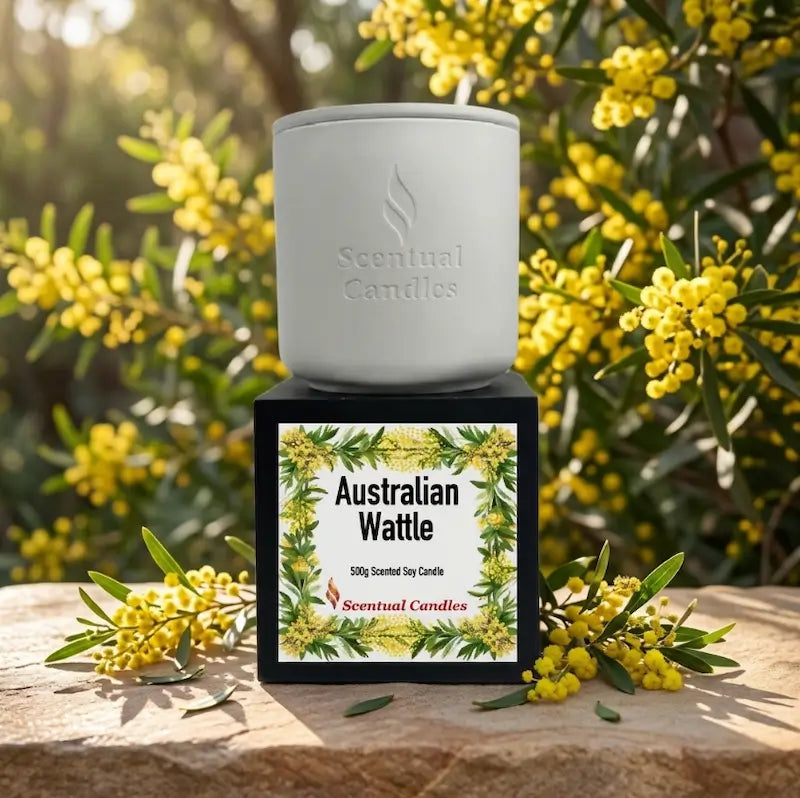 Wattle Candle displayed with Australian wattle flowers, featuring a white vessel and attractive packaging design.