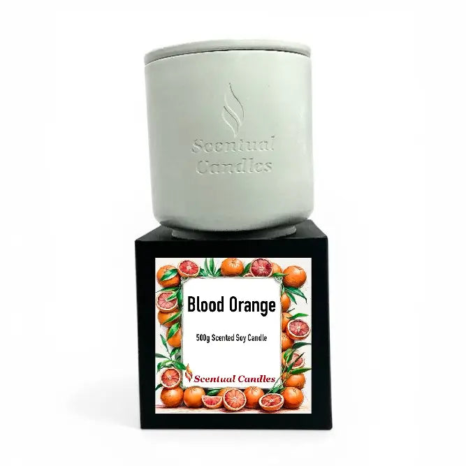 Blood Orange Candle in a stylish container, 500g scented soy candle with vibrant illustrations of blood oranges.
