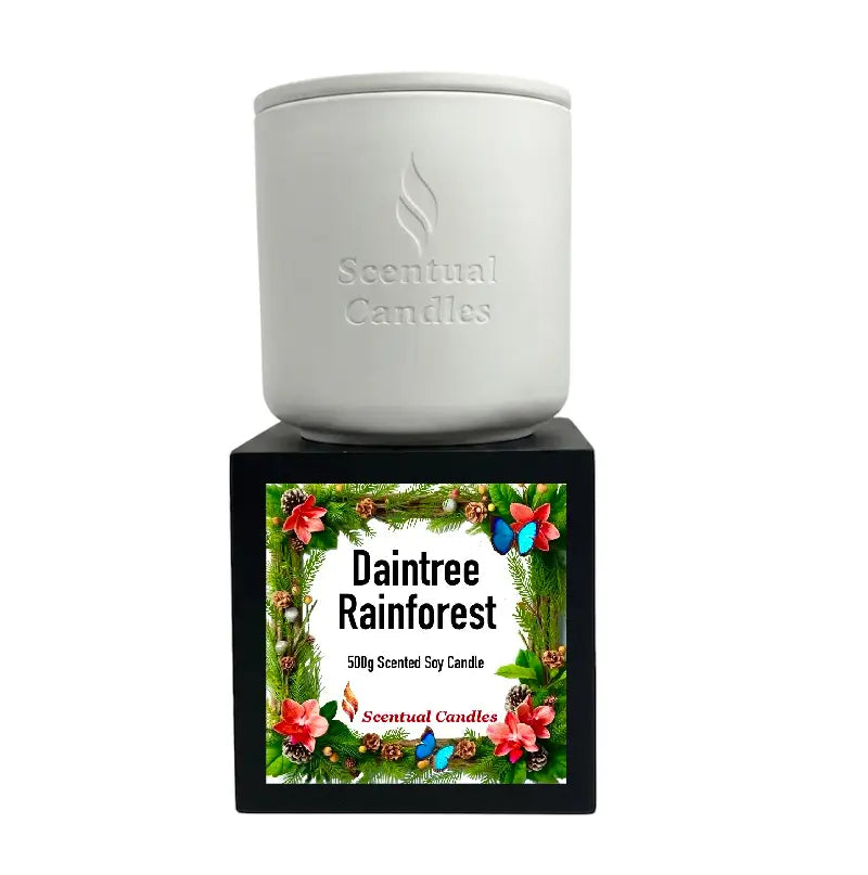 Pine Scented Daintree Rainforest Candle in a white container with floral design.