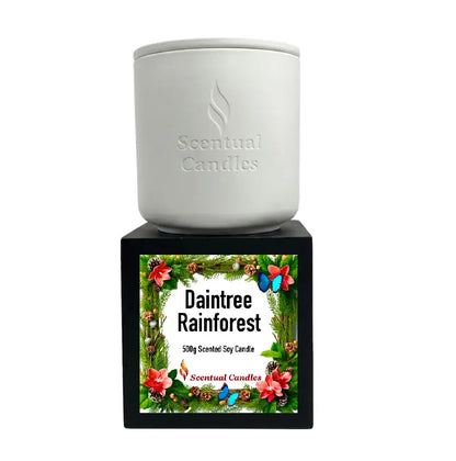 Pine Scented Daintree Rainforest Candle in a white container with floral design.