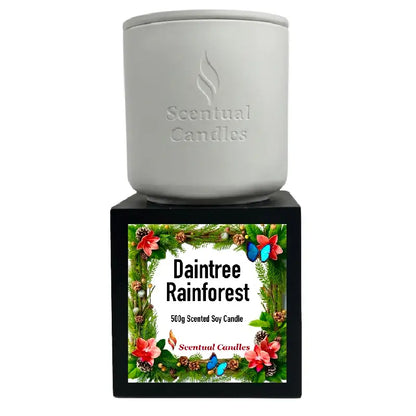 Pine Scented Daintree Rainforest Candle in a white container with floral design.