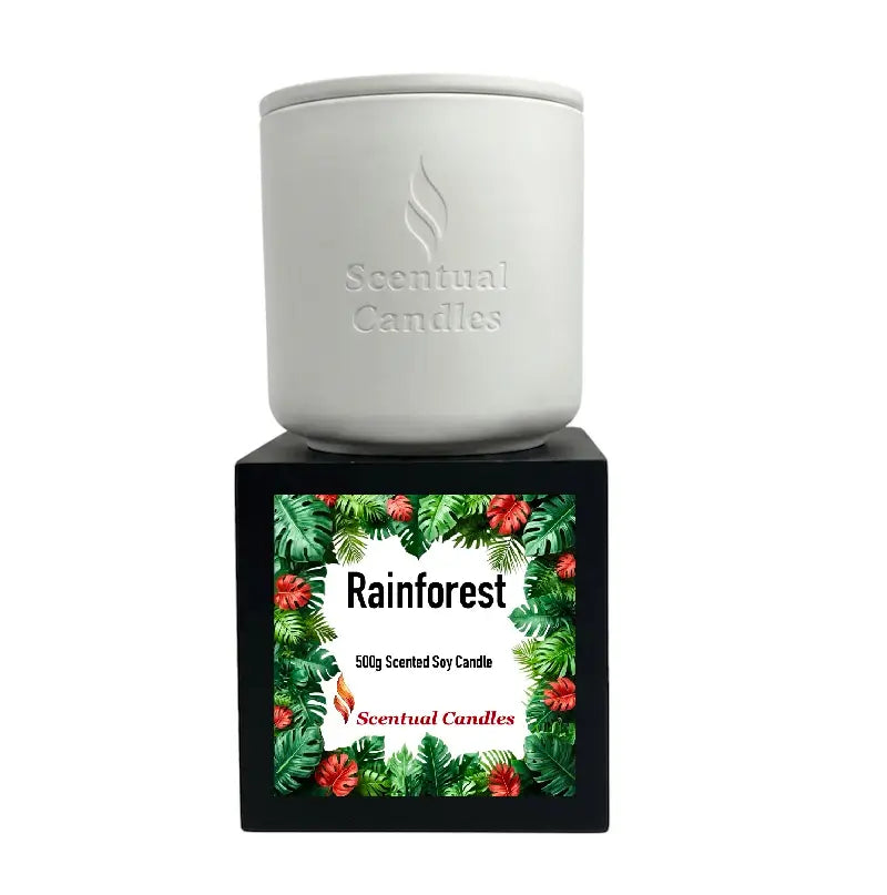 Rainforest Scented Candle in a sleek white container with tropical-themed packaging showcasing vibrant leaves and flowers.