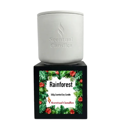 Rainforest Scented Candle in a sleek white container with tropical-themed packaging showcasing vibrant leaves and flowers.