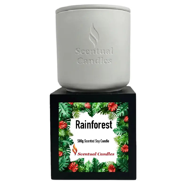Rainforest Scented Candle in a sleek white container with tropical-themed packaging showcasing vibrant leaves and flowers.