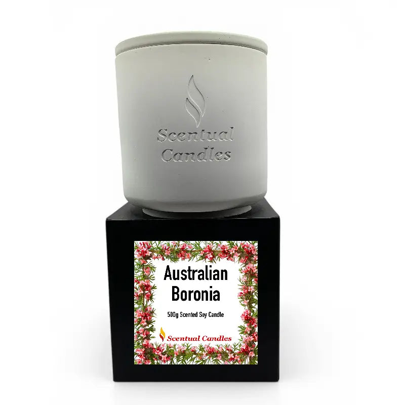 Scented Soy Candle - Australian Boronia with floral packaging on a black box.