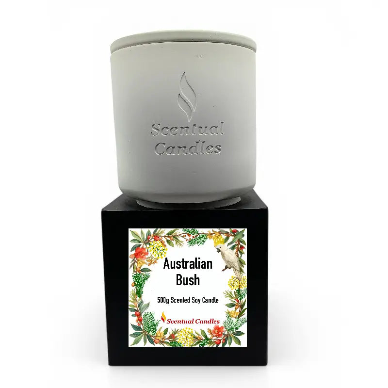 Australian Bush Candle with eucalyptus, lemon myrtle, and pine scent in a decorative container.
