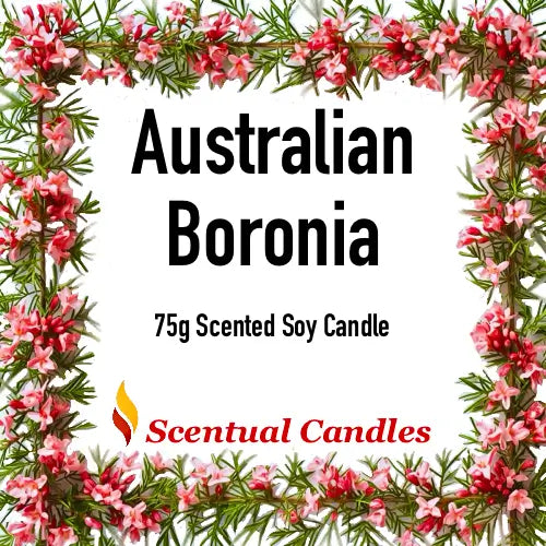 Australian Florals Candle Gift Set with 75g Australian Boronia scented soy candle from Scentual Candles