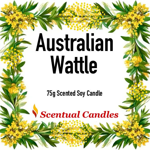 Australian Florals Candle Gift Set - Australian Wattle 75g Scented Soy Candle