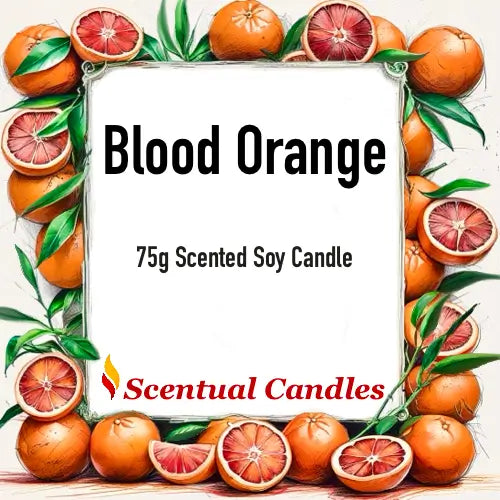 Blood Orange 75g scented soy candle with citrus design from Mini Candles Set of 4 Summer Scents.