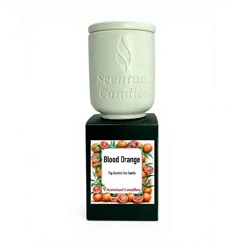 Blood Orange Candle in a ceramic pot, featuring a vibrant label with citrus fruits and scent details.