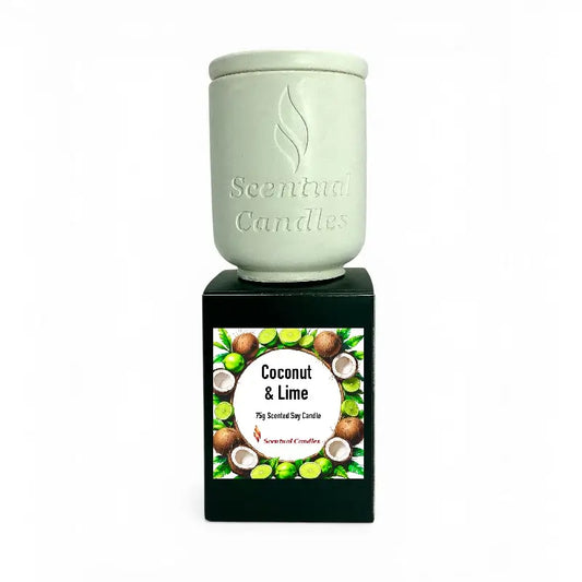 Coconut and Lime Candle displayed in a sleek container with tropical design, showcasing scented soy candle features.