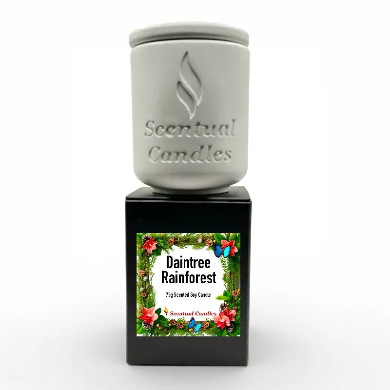 Pine Scented Daintree Rainforest Candle in decorative packaging, part of Australian Scents Collection