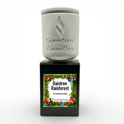 Australiana Candle Set - 12 scents including Daintree Rainforest scent, 75g hand-poured premium soy wax candle.