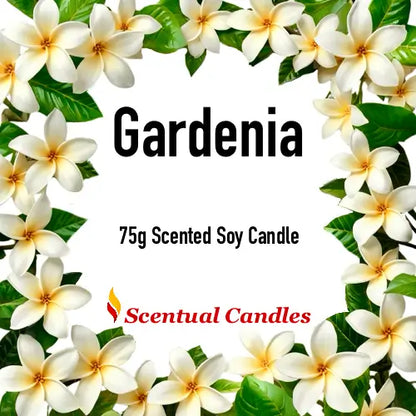 Set of 4 Mini Candles - Gardenia 75g scented soy floral candle in blooming garden theme from Scentual Candles collection.