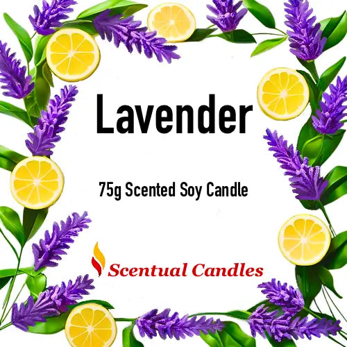 Scented Candle Duo featuring Lavender, 75g scented soy candle surrounded by lemon and lavender plants.