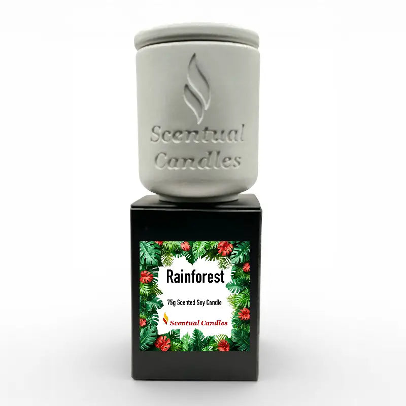 Rainforest Scented Candle with lush packaging, 75g soy candle by Scentual Candles. Refreshing blend of citrus, florals, and woods.