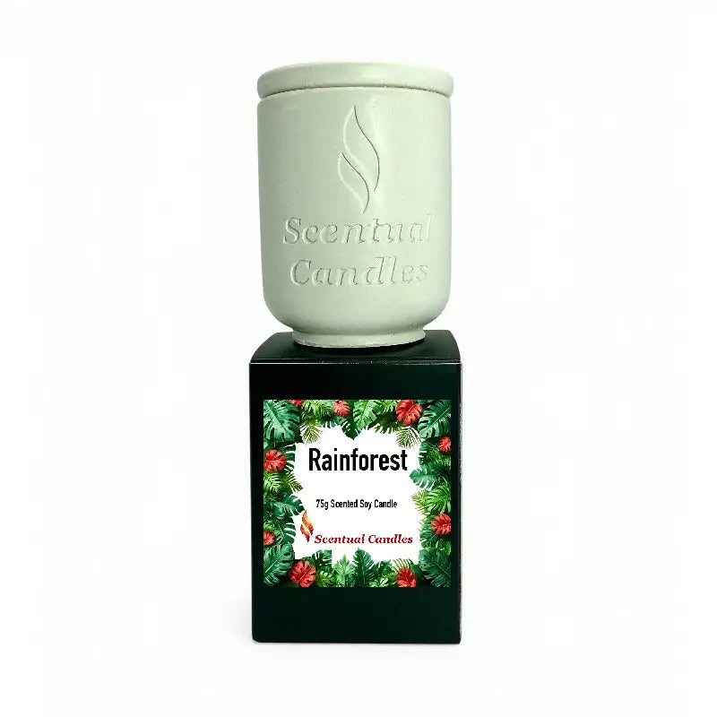 Rainforest Scented Candle displayed in a decorative container with tropical foliage design on the label.
