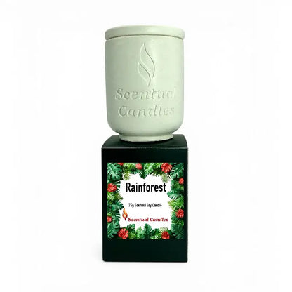 Rainforest Scented Candle displayed in a decorative container with tropical foliage design on the label.