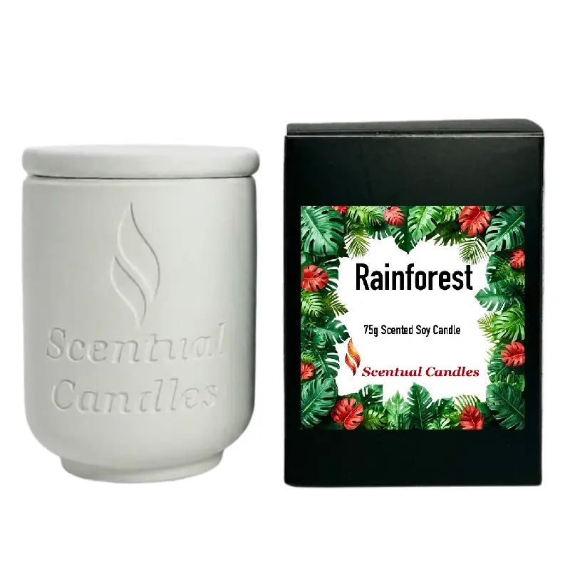 Rainforest Scented Candle in white jar next to decorative box with tropical leaves and product details.