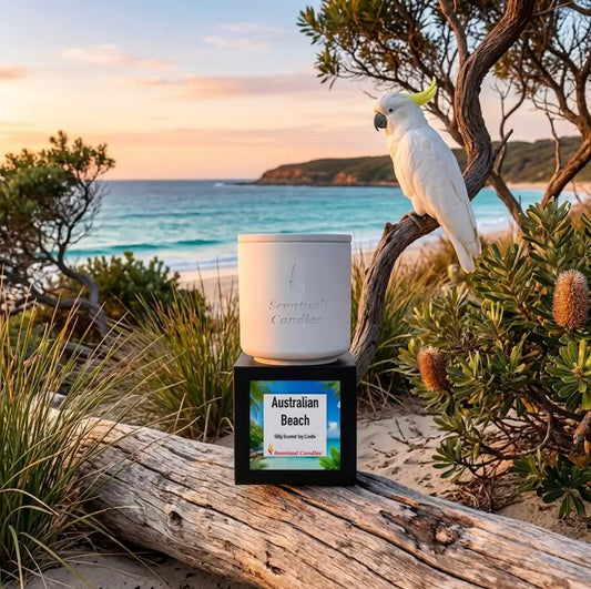 Australian Beach scented candle by the sea with a parrot at sunset