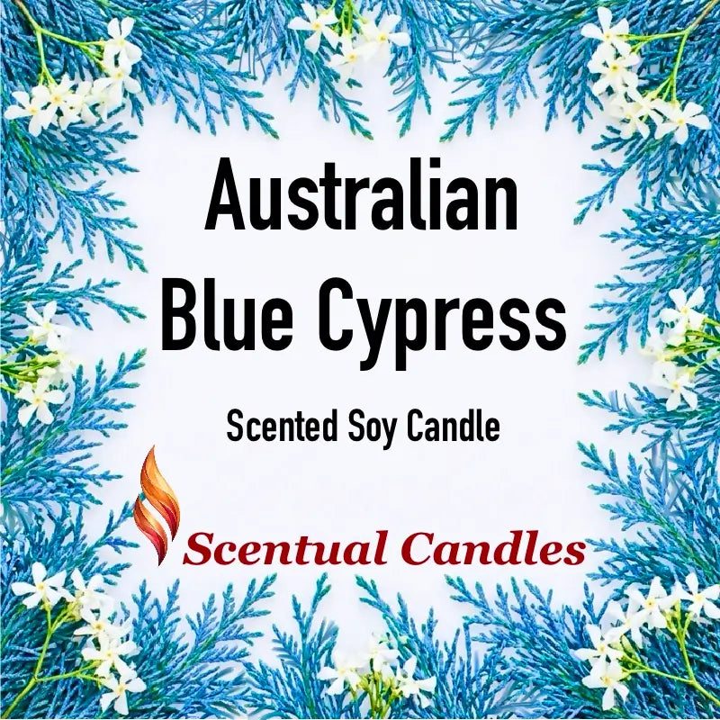 Australian Blue Cypress Candle displayed with greenery and flowers, vibrant design for Scentual Candles.