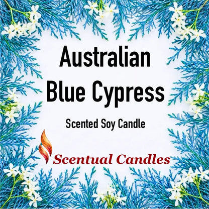 Australian Blue Cypress Candle displayed with greenery and flowers, vibrant design for Scentual Candles.