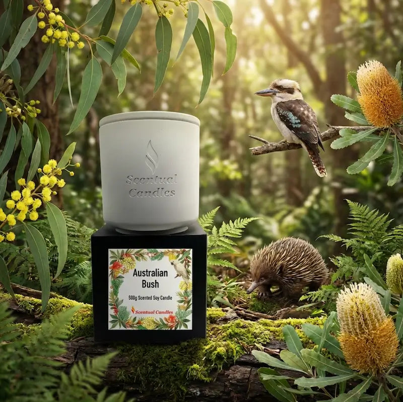 Australian Bush Candle amidst native Australian flora and wildlife, featuring eucalyptus and lemon myrtle for a fresh, woody scent.