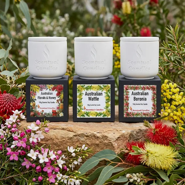 Australian Florals Candle Gift Set featuring three native-inspired fragrances in hydrostone vessels.