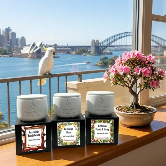 Australian Scents Candle Set on a windowsill with a view of Sydney's iconic landmarks.