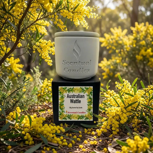 Australian Wattle Scented Soy Candle surrounded by vibrant golden wattle flowers, part of the Australian Scents Collection by Scentual Candles.