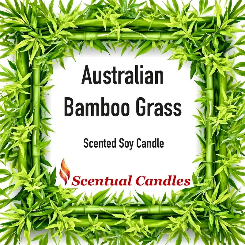 Australian Bamboo Grass Scented Soy Candle surrounded by vibrant bamboo leaves.