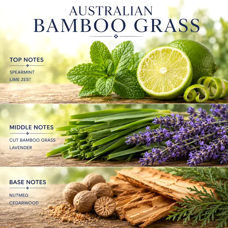 Australian Bamboo Grass fragrance notes with spearmint, lime zest, cut bamboo grass, lavender, nutmeg, and cedarwood.