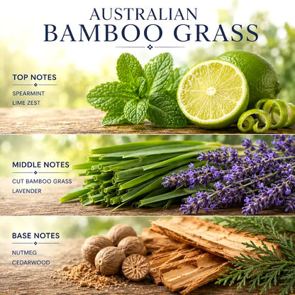 Australian Bamboo Grass fragrance notes with spearmint, lime zest, cut bamboo grass, lavender, nutmeg, and cedarwood.
