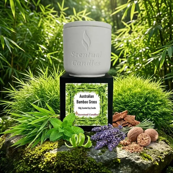 Bamboo Candle displayed on a stone, surrounded by greenery, featuring the Australian Bamboo Grass scent.
