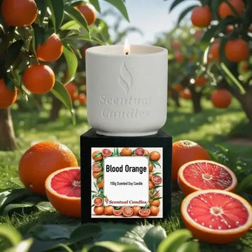Blood Orange Candle displayed with fresh citrus in a vibrant orchard setting, showcasing its invigorating scent.