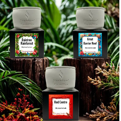 Candle Gift Set - Essence of Australia featuring Daintree Rainforest, Great Barrier Reef, and Red Centre candles displayed with greenery