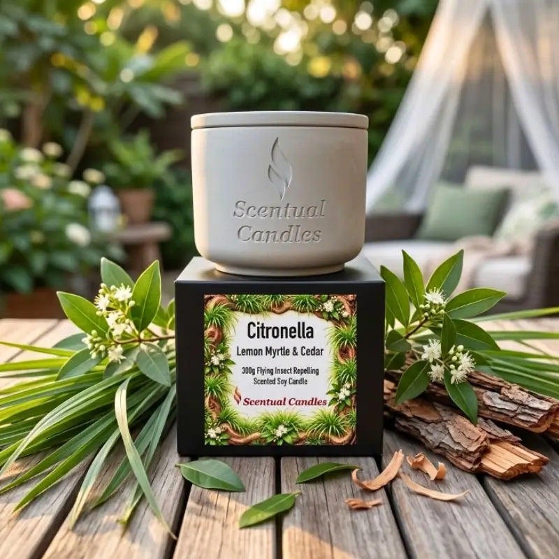 Citronella Candle with Lemon Myrtle and Cedar, natural insect repelling scent, Scentual Candles.