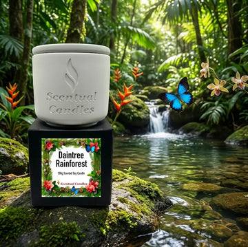 Scentual Candles Pine Scented Daintree Rainforest candle in a natural setting with water and plants.