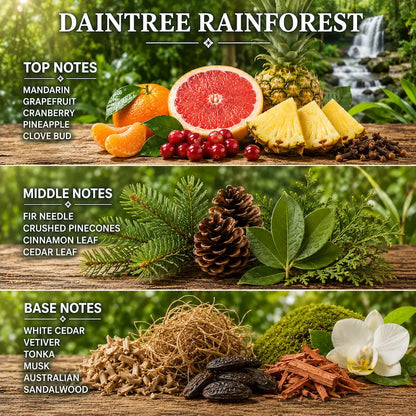 Pine scented Candle labeled 'Daintree Rainforest' displaying fruit slices and natural elements on a forest background.