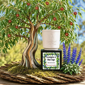 Eucalyptus Candle with Blue Sage placed beside a tree, showcasing Australian Scents Collection, bright and refreshing.