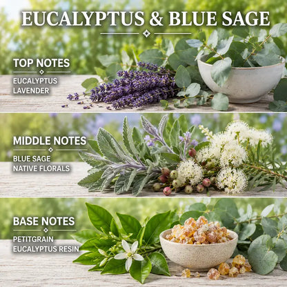 Eucalyptus candle displaying fragrance ingredients