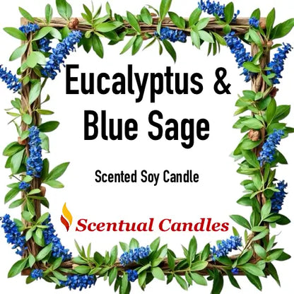 Scented soy Eucalyptus candle packaging with eucalyptus and blue sage design, featuring the brand 'Scentual Candles'.