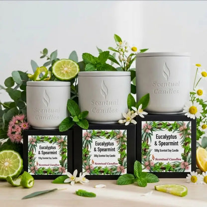 Eucalyptus Candle with Spearmint surrounded by mint leaves, limes, and flowers, showcasing a refreshing scent.
