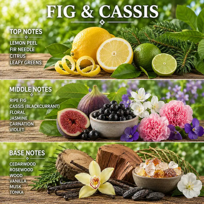 Fig Candle fragrance notes including lemon peel, ripe fig, cassis, cedarwood, and floral accents.