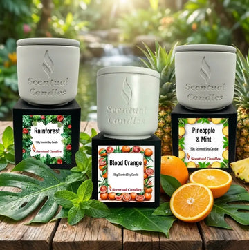 Fresh Scented Candle Set displayed with Rainforest, Blood Orange, and Pineapple & Mint scents in a natural setting.