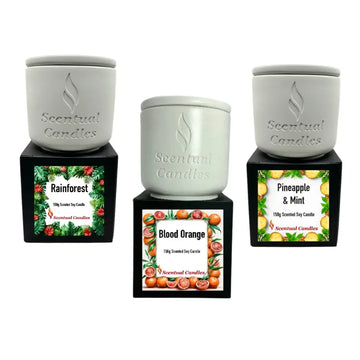 Fresh Scented Candle set featuring Rainforest, Blood Orange, and Pineapple & Mint scented soy candles.