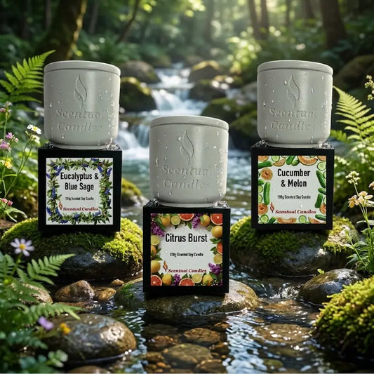 Fresh Scented Candle Set featuring Eucalyptus & Blue Sage, Citrus Burst, Cucumber & Melon in a natural setting.
