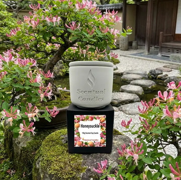 Honeysuckle Scented Candle - Soy in Garden, floral background, Scentual Candles branding, perfect for spring ambiance and relaxation